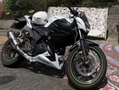初心者にもオススメ Z250SL SP忠男マフラー 千葉県柏市 配送可能 