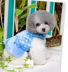 【小型犬用ワンピース】小型犬様 リード付きワンピース Blue送料無料★