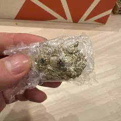 Item thumbnail for item 610a1d90-4397-4427-a129-a0eb3e0b918c