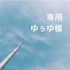 専用ページ ゆぅゆ様