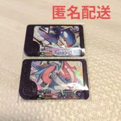 ポケモンフレンダ　カイオーガ　ボーマンダ　スーパートレジャー