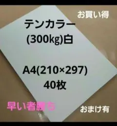 Item thumbnail for item 13eee9f0-dfa4-4e53-bf9c-de972b3acc77