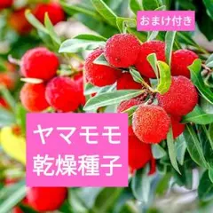 うぽぽ様 リクエスト 4点 まとめ商品