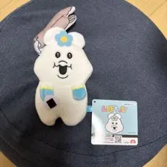 んぽちゃむ リール付き ぬいぐるみパスケースのサムネイル