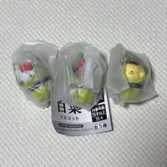 サンリオ カプセルトイ 3個セット　白菜　キティ　マイメロ　プリン