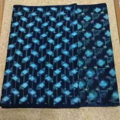 Item thumbnail for item 17bb6344-ee77-4dee-ba16-011d5db987f5