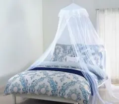 Item thumbnail for item ba21a54d-6e7d-473d-864c-91c439ddb903