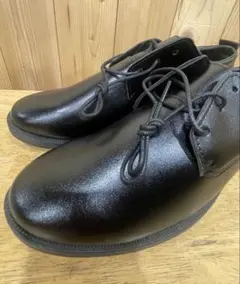 Item thumbnail for item 53b8bef4-f631-4f9d-94b8-9f53d67534a8