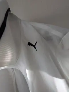 Item thumbnail for item 79a0523d-3170-48f5-98c2-3971ce598f84