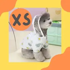 レイングッズ　レインコート　新品未使用　XS　雨具　カッパ　犬服　猫服　梅雨のサムネイル