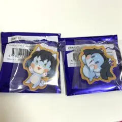 鬼滅の刃 アニマルクッキーバッジ 嘴平伊之助 神崎アオイ