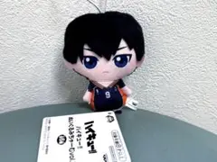 【影山 飛雄】ハイキュー!! ぬいぐるみちゃーむvol.1