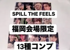 seventeen トレカ 福岡 会場限定 ユニバ 13種コンプ　STF