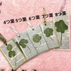 hirorin様 リクエスト 2点 まとめ商品