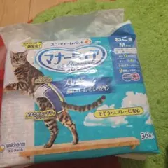 Item thumbnail for item 11de2bb5-a477-42c4-a6cb-a2bd4009928c