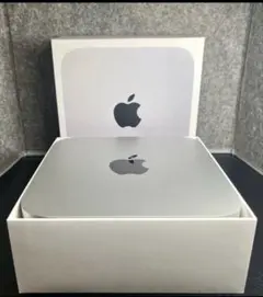 M1 Mac mini 16GB 2TB AppleCare12月まで M1 Mac mini 16GB 2TB AppleCare12月まで - メルカリ