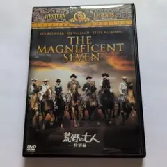 The Magnificent Seven 特別編 DVD