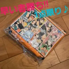 〇29【懸賞品】訳あり! ハイキュー!! キャラクターデザイン 足なし