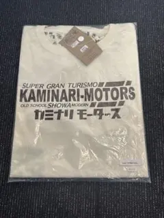 Item thumbnail for item 4d1a77dd-1294-48be-8b58-d22aee22a924