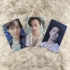 sector17 ディノ トレカ セブチ SEVENTEEN