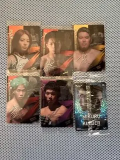 RIZINウエハース シークレットのみ