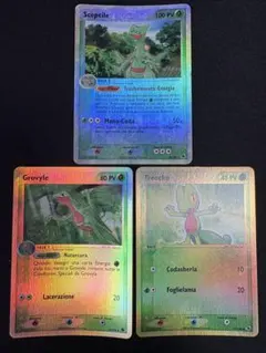 ポケモンカード ジュカイン ジュプトル キモリ イタリア語 英語のサムネイル