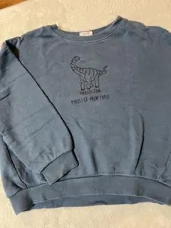 BREEZE DINOSAURS 恐竜　刺繍　トレーナー 110