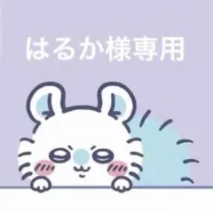 はるか様専用 ちいかわ　ぬいぱれっと　さくらいろ モモンガ