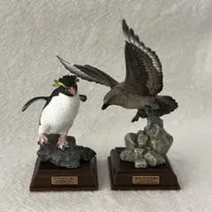 ネイチャーテクニカラー　南極シリーズ オオトウゾクカモメ　イワトビペンギン