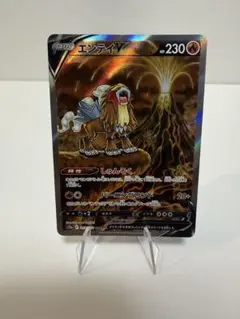 エンテイV SAR S12a VSTARユニバース 213/172