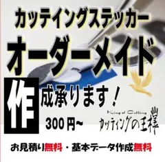 オーダーメイドカッティングステッカー作成　カー　車　専用車　433
