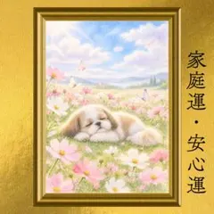 シーズー 癒し・安心・心の余裕・家庭運 開運アート 秋桜の昼寝 ぼかし水彩画