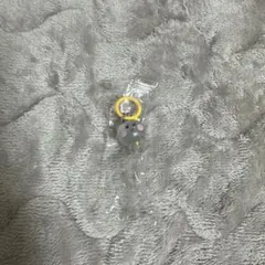 TRUZめじるしアクセサリー ～キラキラスペシャルラメver.～ YOCHI