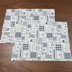 Item thumbnail for item 0513c1a3-2673-46dd-a06a-cb1e8e6dc8f8