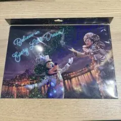 ディズニー MISIA クリアファイル