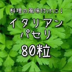 【イタリアンパセリのタネ】80粒 種子 種 ハーブ 料理 家庭菜園