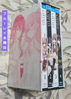 Item thumbnail for item 32b16ffe-2f59-426d-ac5a-72d523cc3f2b