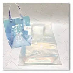 Disney store 30TH ANNIVERSARY バッグ