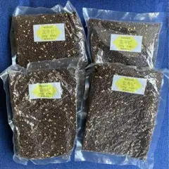 Item thumbnail for item 057cc391-cd38-44a1-b77b-1d6bbf6522c9