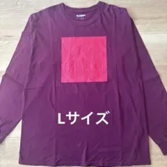 XLARGE エクストララージ　ロンT メンズ　L