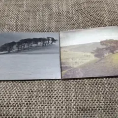キース・カニシウス シューゲイザー Shoegazer Rumskib 廃盤CD Amazon.co.jp: ！！国内盤CD Ride today forever ライド