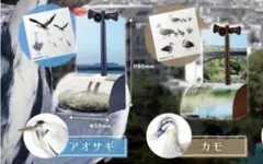 Item thumbnail for item d0558add-dbe1-4fe9-954f-88b3f48c0d19