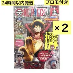 ワンピースマガジン　20 ルフィプロモ付き【２冊セット】