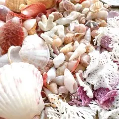 lottatta様 リクエスト 4点 まとめ商品