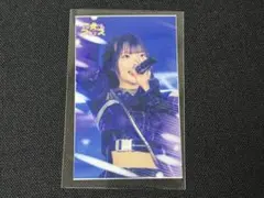 夜光性アミューズ ふてこ トレカ