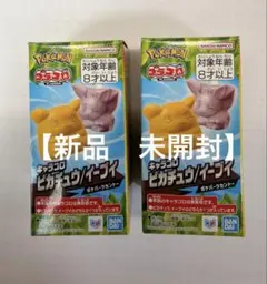 ポケパーク限定】 プラコロ ピカチュウ/イーブイ 2個セット キャラコロ
