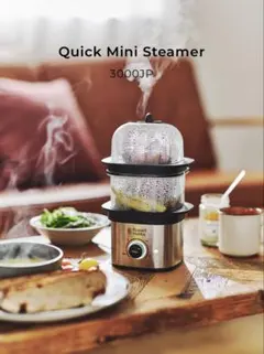 Russell Hobbs Quick Mini Steamerのサムネイル