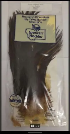 Item thumbnail for item 6cf88a24-ccdb-44c6-bf05-fe11f59d8a95