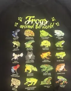 おもしろＴシャツFrogs around the world Lサイズ
