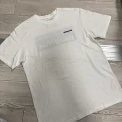 Patagonia Responsibili-Tee Tシャツ 白
